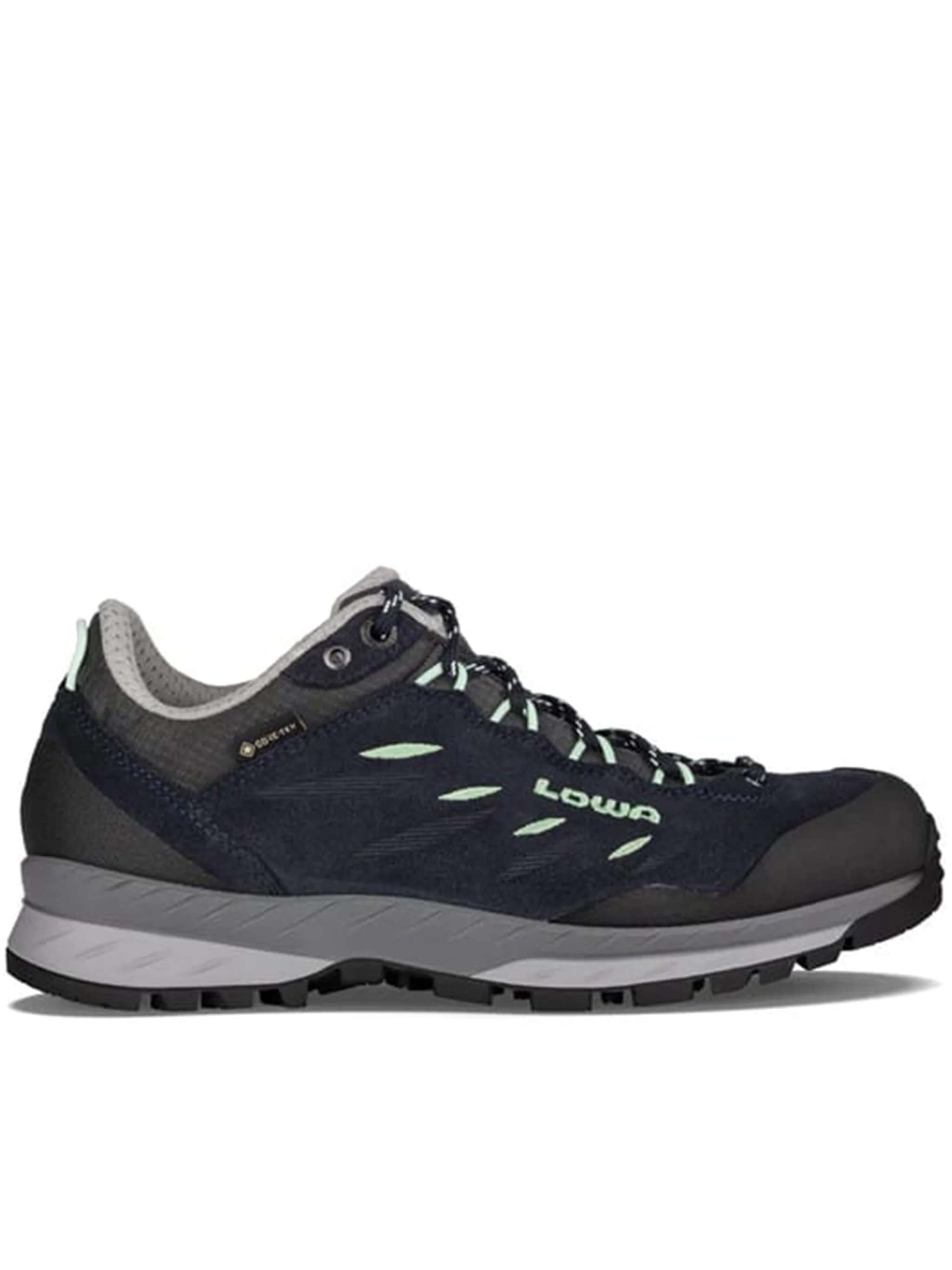 Blue Delago GTX Lo Ws Sneakers