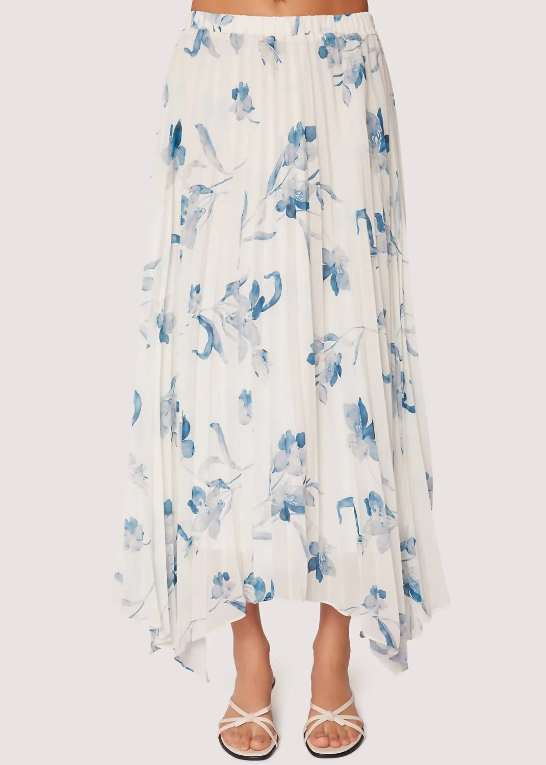 Carolina Garden Maxi Skirt In Off White/blue