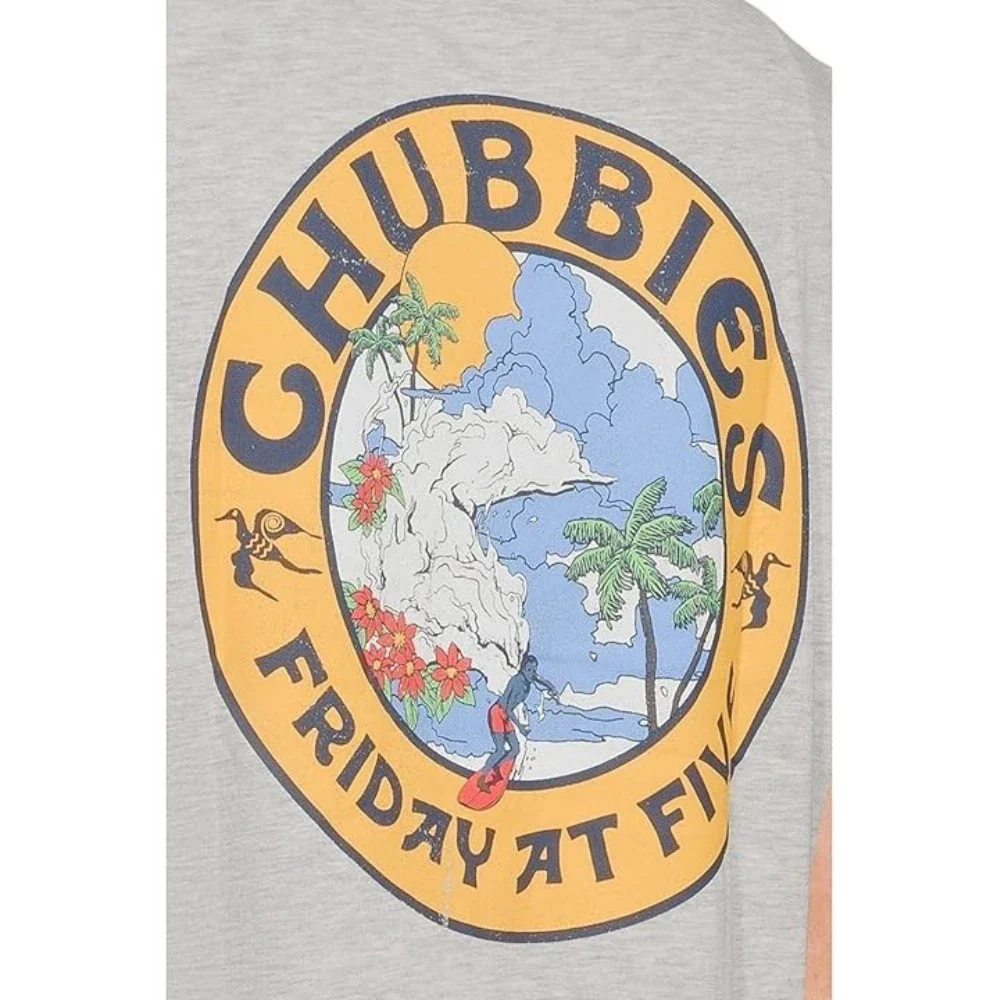Chubbies The Seal Of Approval T-Shirt Men Gray Regular Fit Crew Neck DSGL747 - Image 5