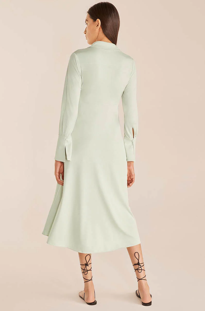 Cupro Dress - Image 3