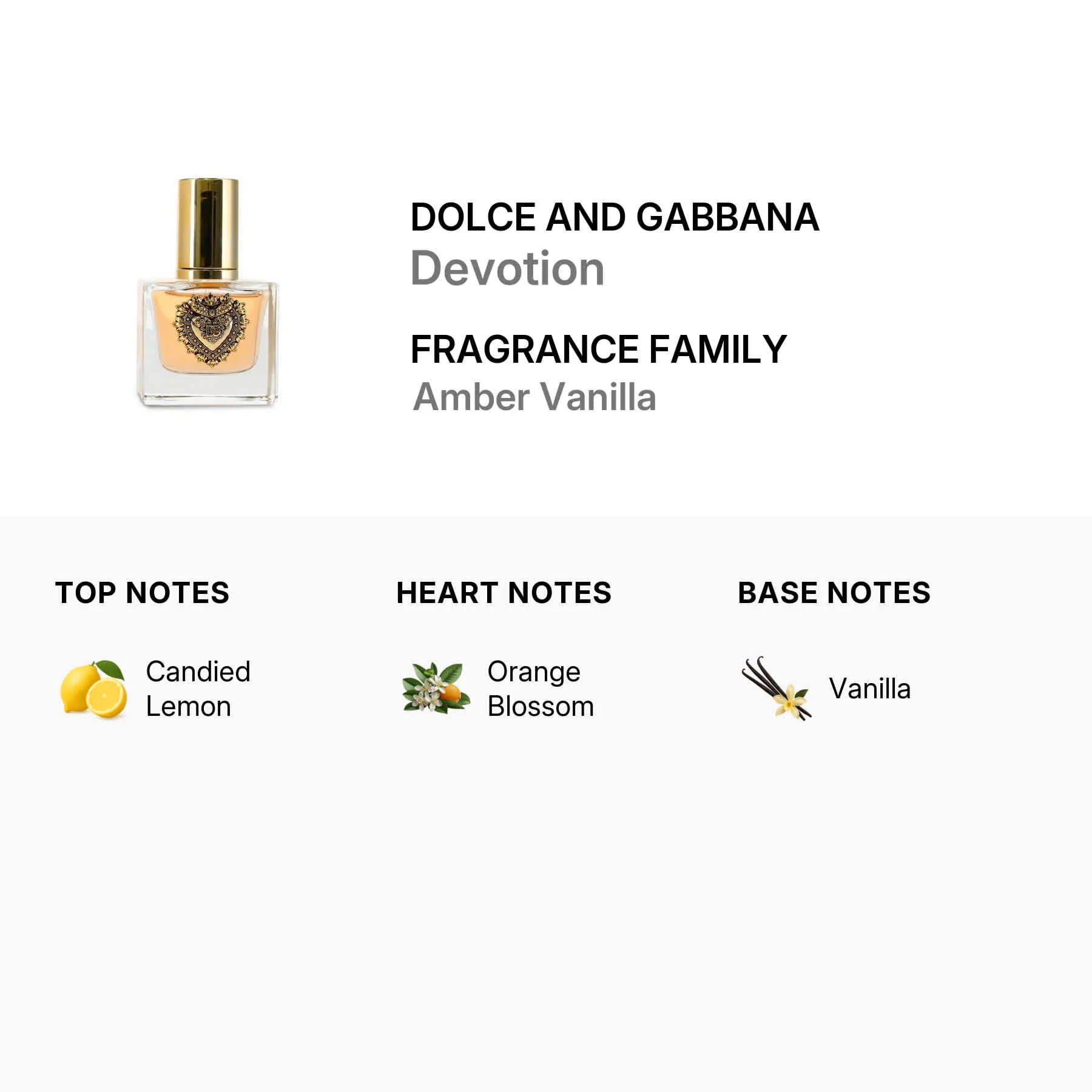 Dolce and Gabbana Ladies Devotion EDP Spray 1 oz Fragrances - Image 2