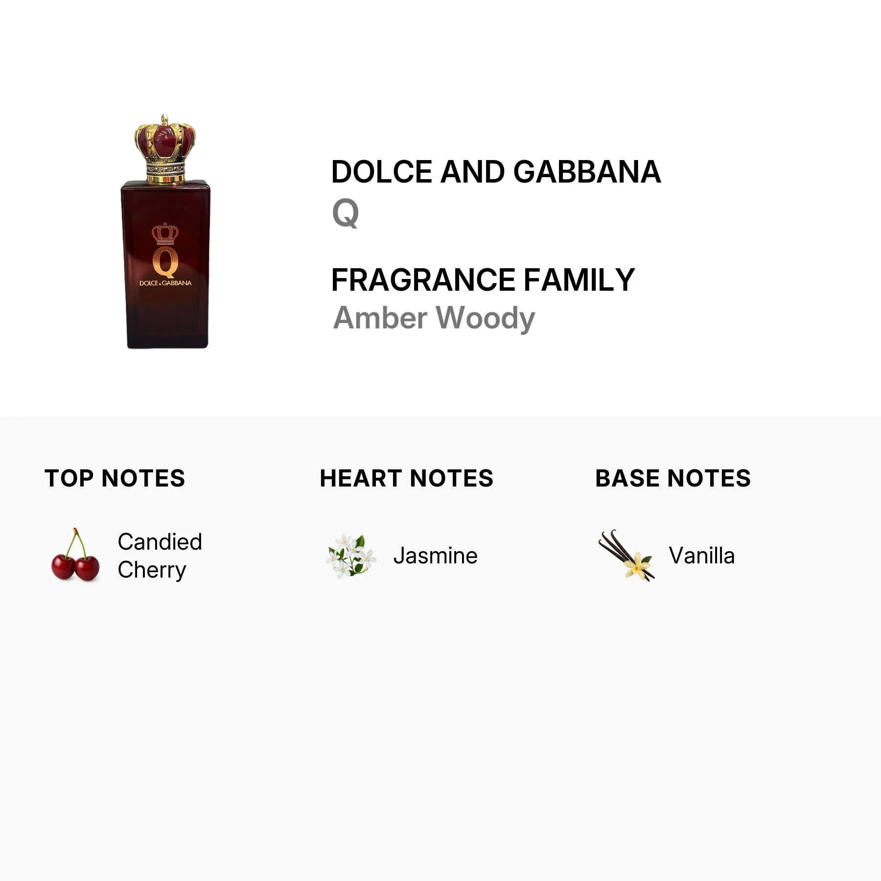 Dolce and Gabbana Ladies Q Parfum 3.4 oz Fragrances - Image 2