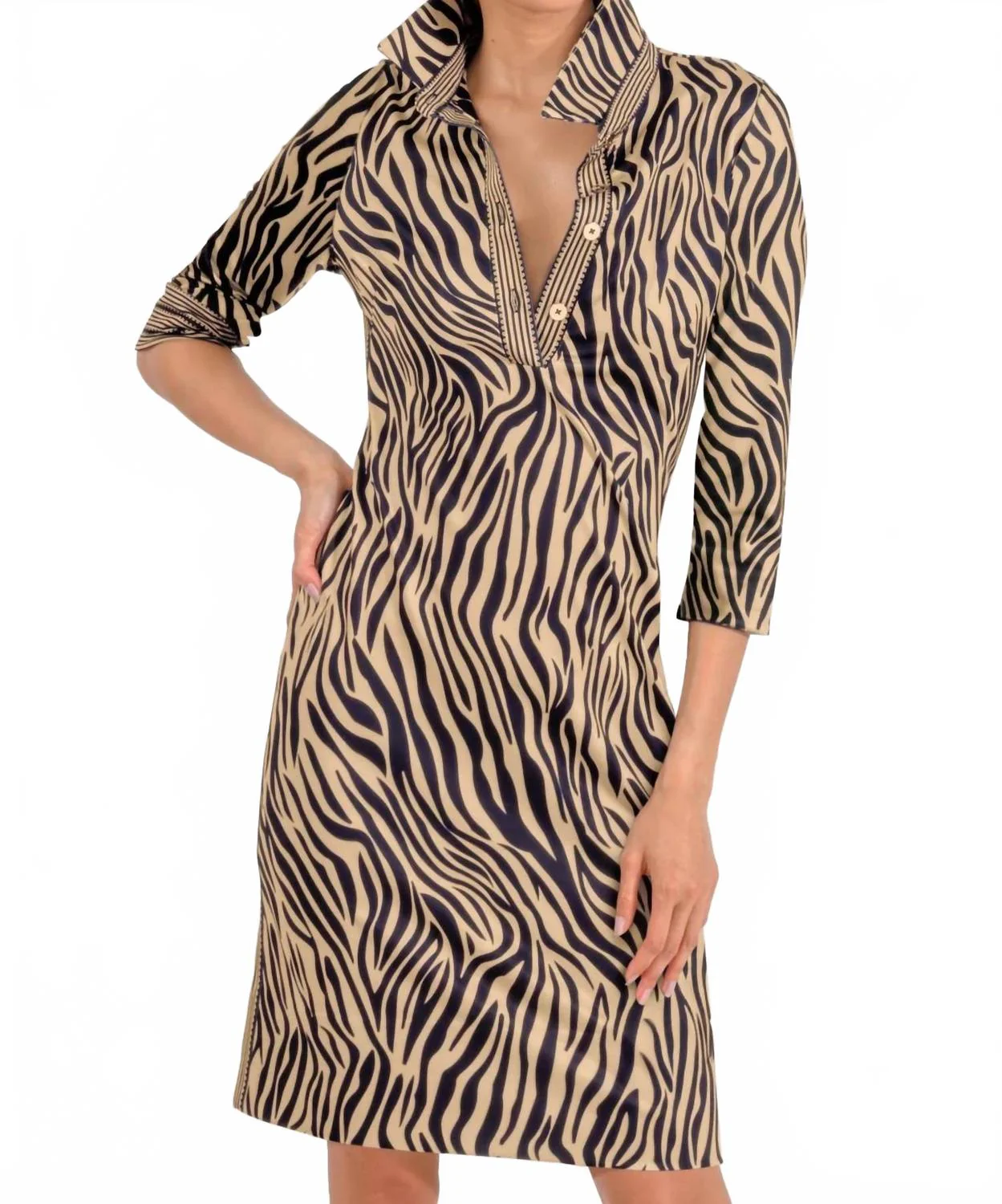Everywhere Dress In Zebra