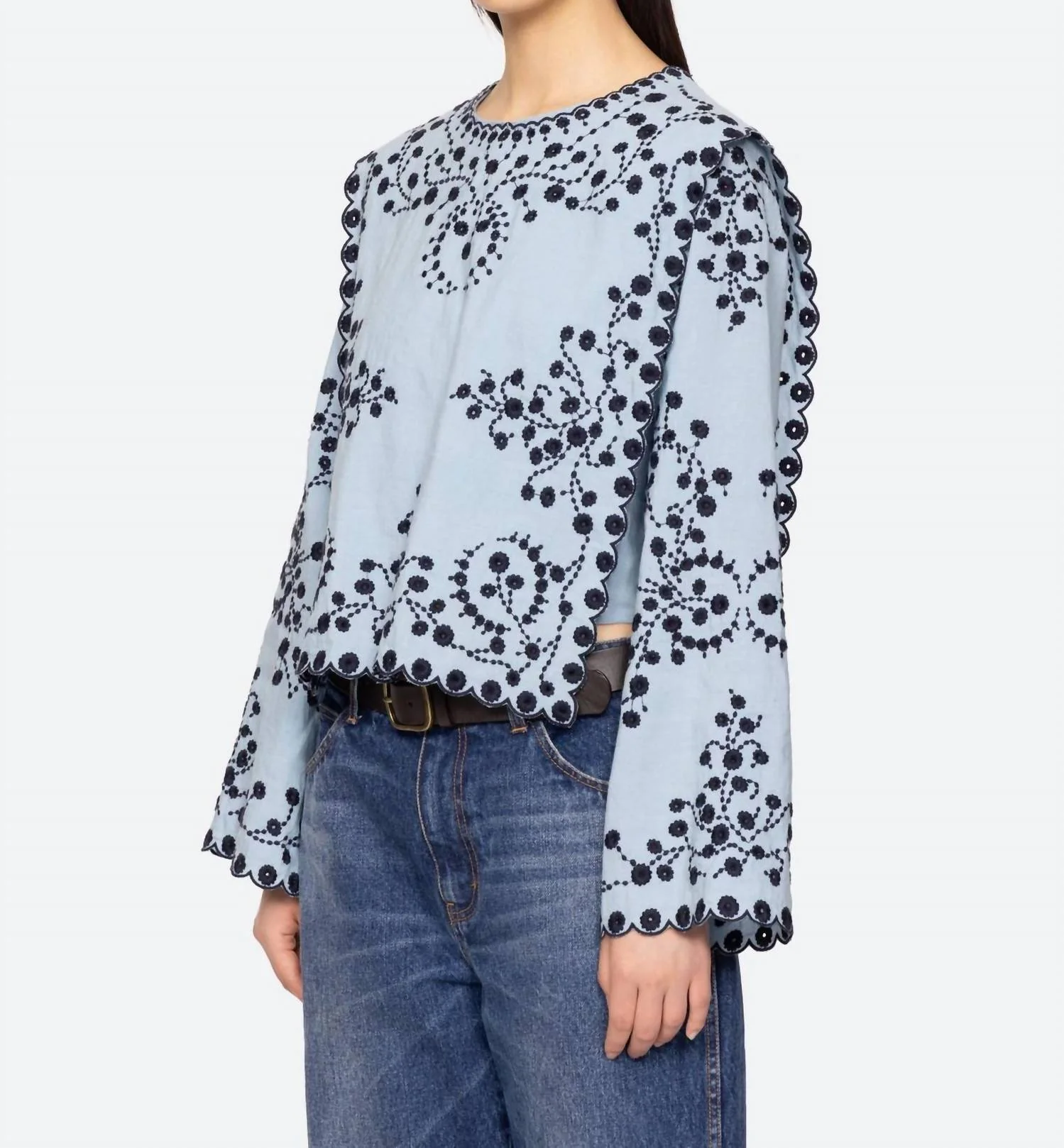 Frances Long Sleeve Embroidered Top In Blue - Image 5
