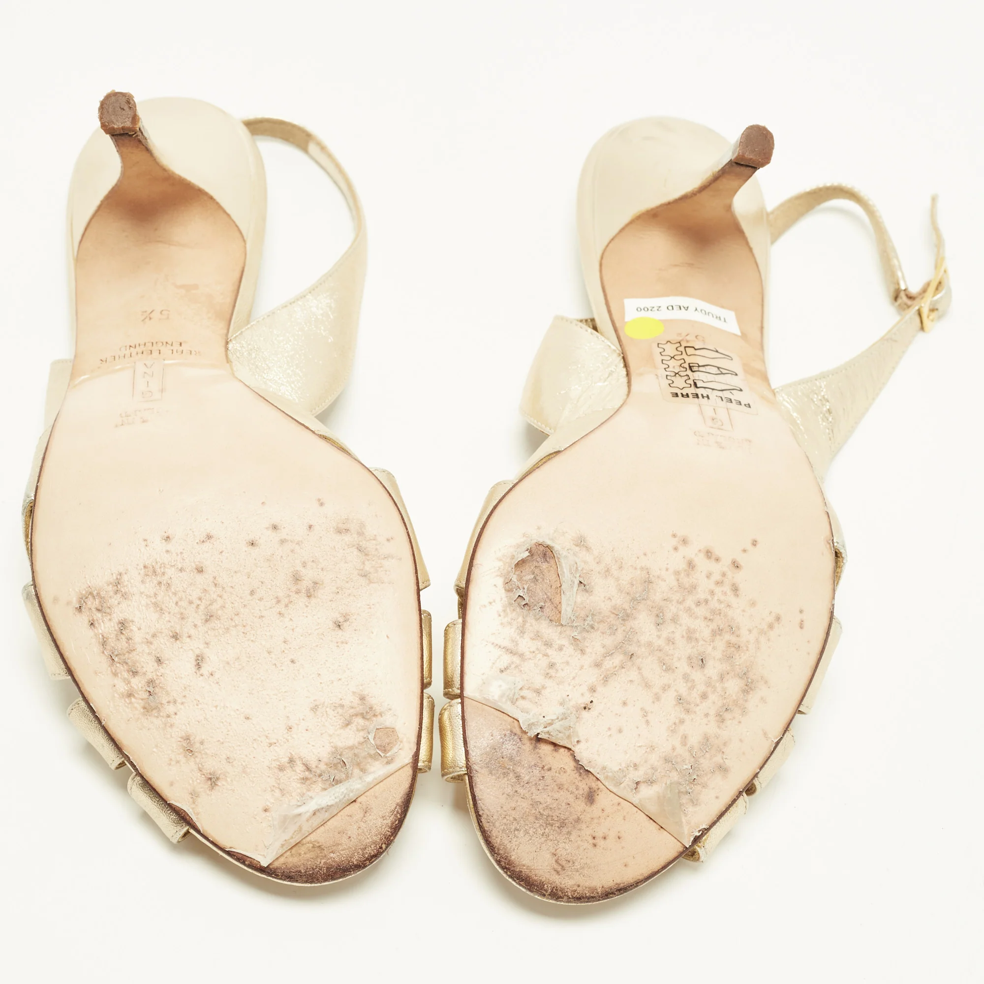 Gina - Image 6