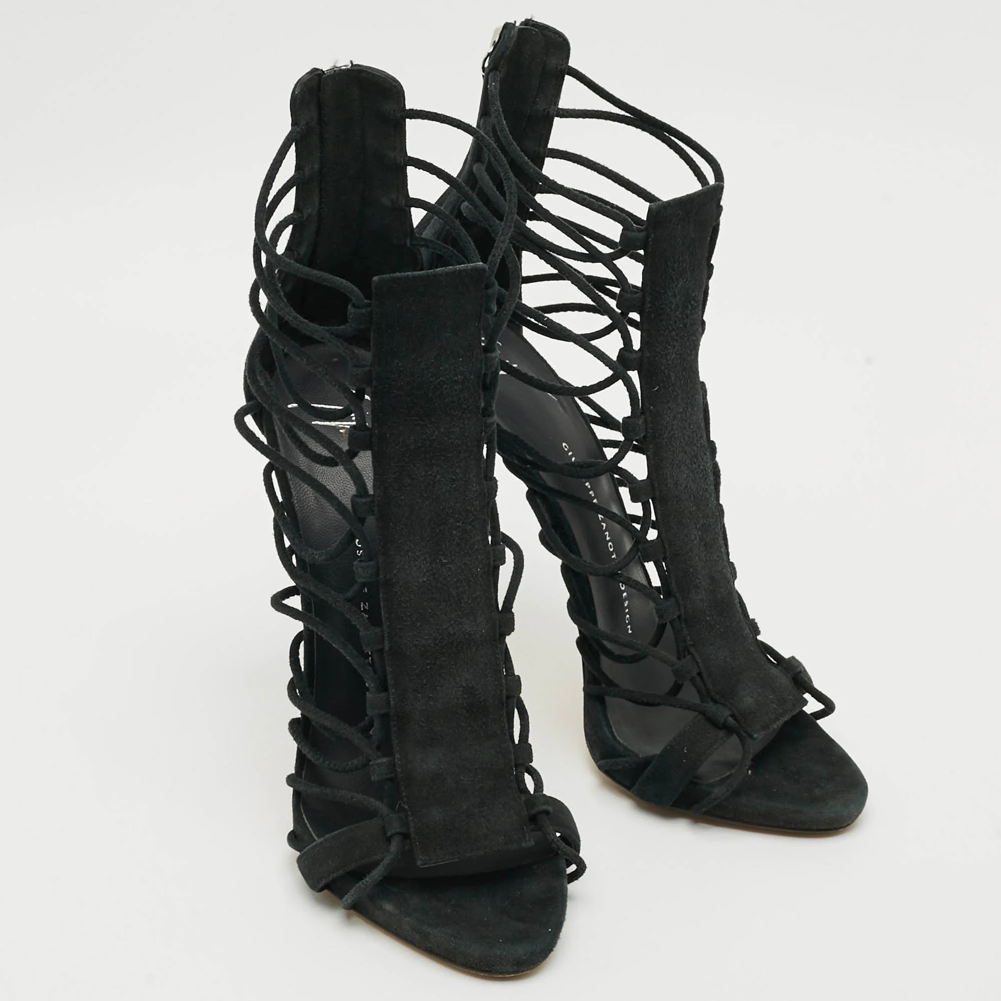 Giuseppe Zanotti - Image 4
