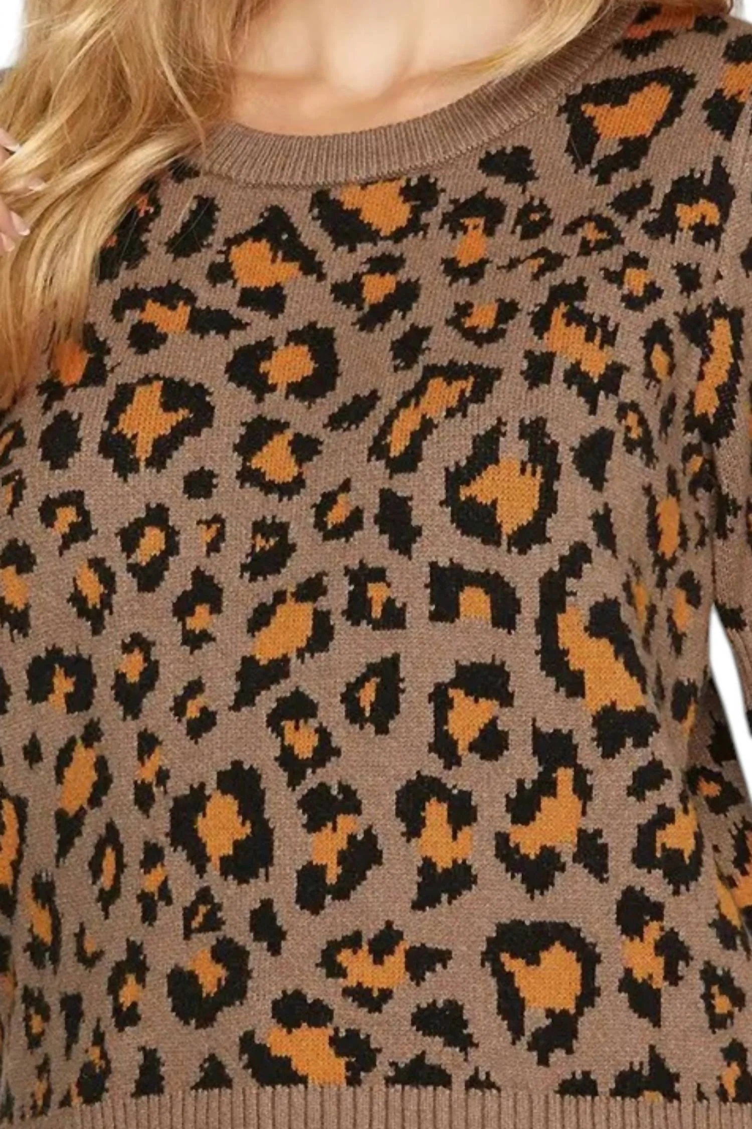 Leopard Pattern Short Sleeve Sweater In Mocha - Image 2