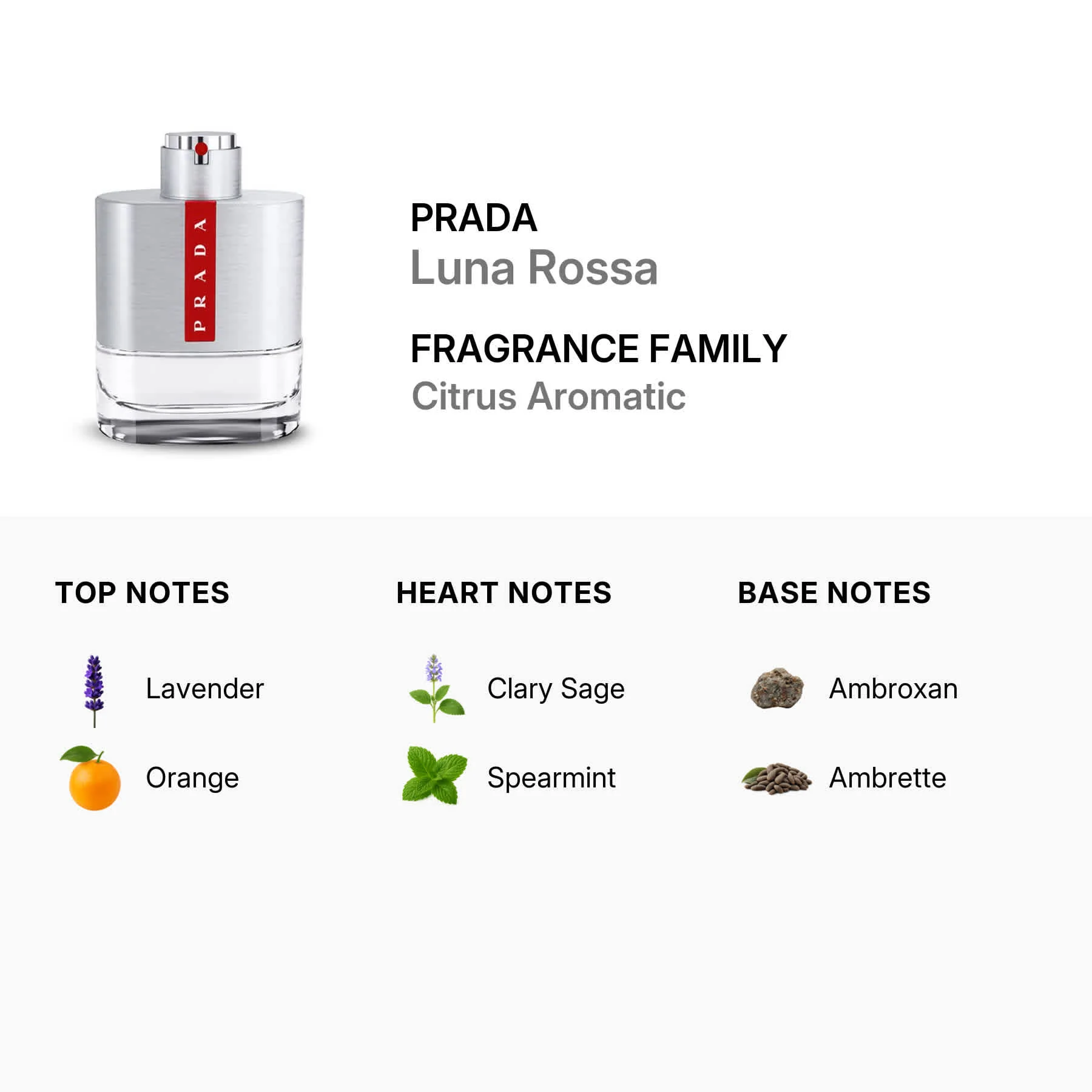 Prada Men's Luna Rossa EDT Spray 3.4 oz Fragrances - Image 2