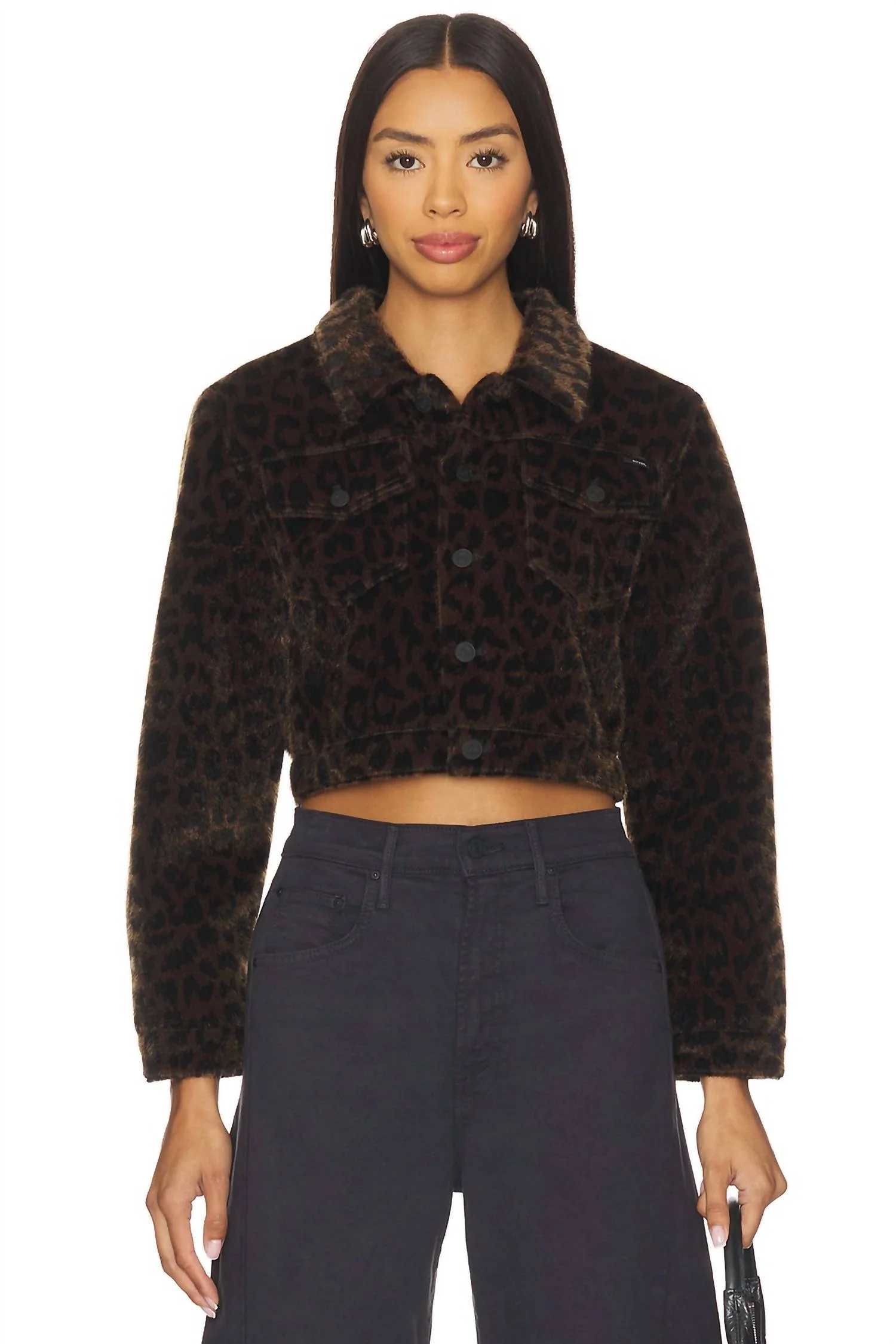 The Short Stack Jacket In On The Prowl