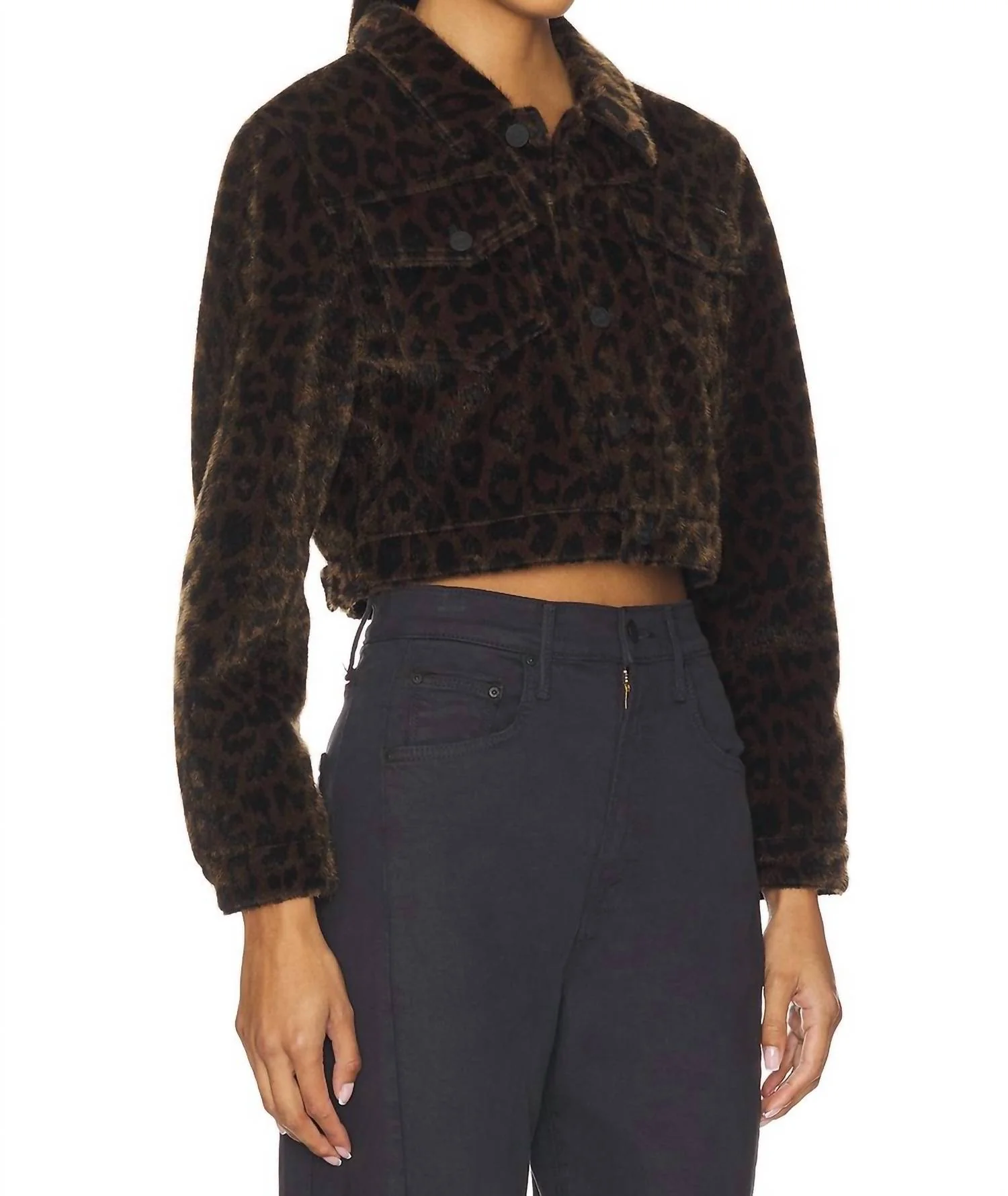 The Short Stack Jacket In On The Prowl - Image 2