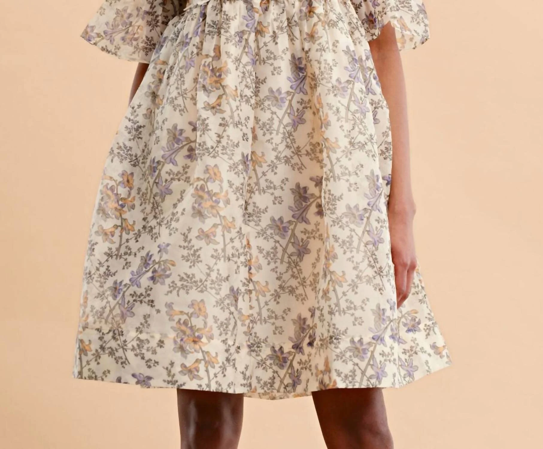 Women's Organza Mini Lace Dress In Beige