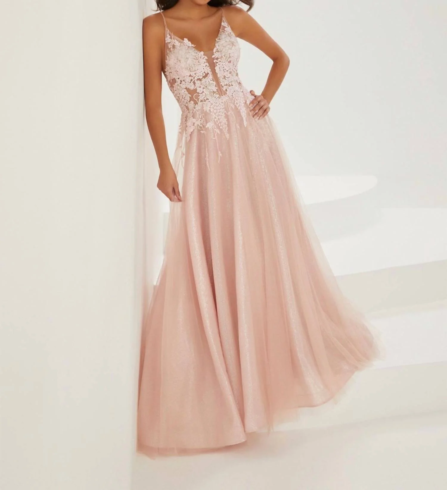 Women's Sleeveless Tulle Gown In Blush