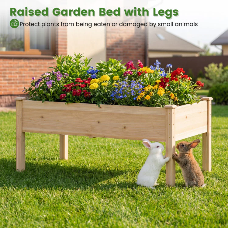 Wooden Raised Garden Bed with Legs Natural Fir Wood Elevated Planter Box - Image 6